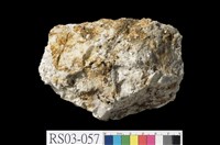 藏品(變質砂岩)的圖片